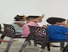 delhi-school-of-Brilliants